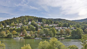Hotel Neckarlux, Heidelberg